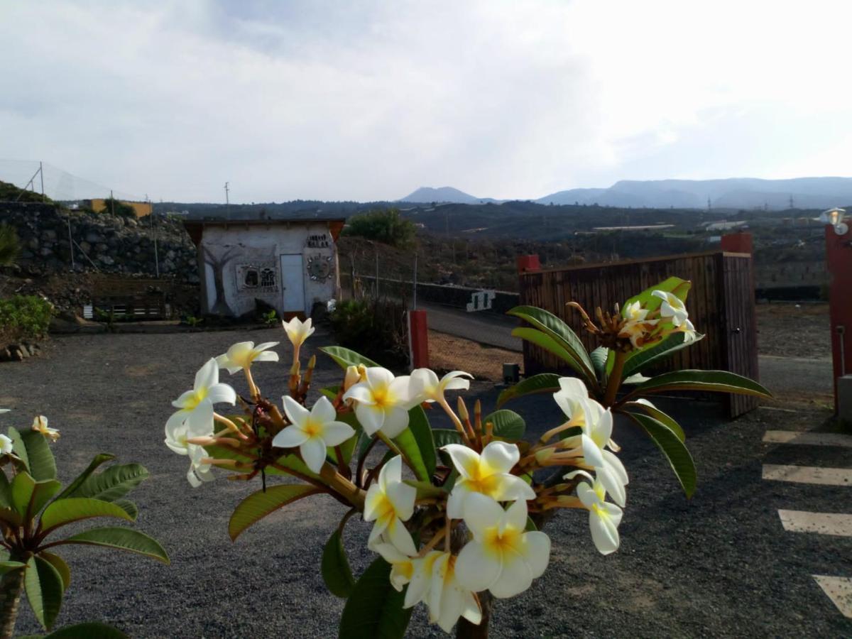 Finca rural Nueva Vida Hostal Chío Exterior foto