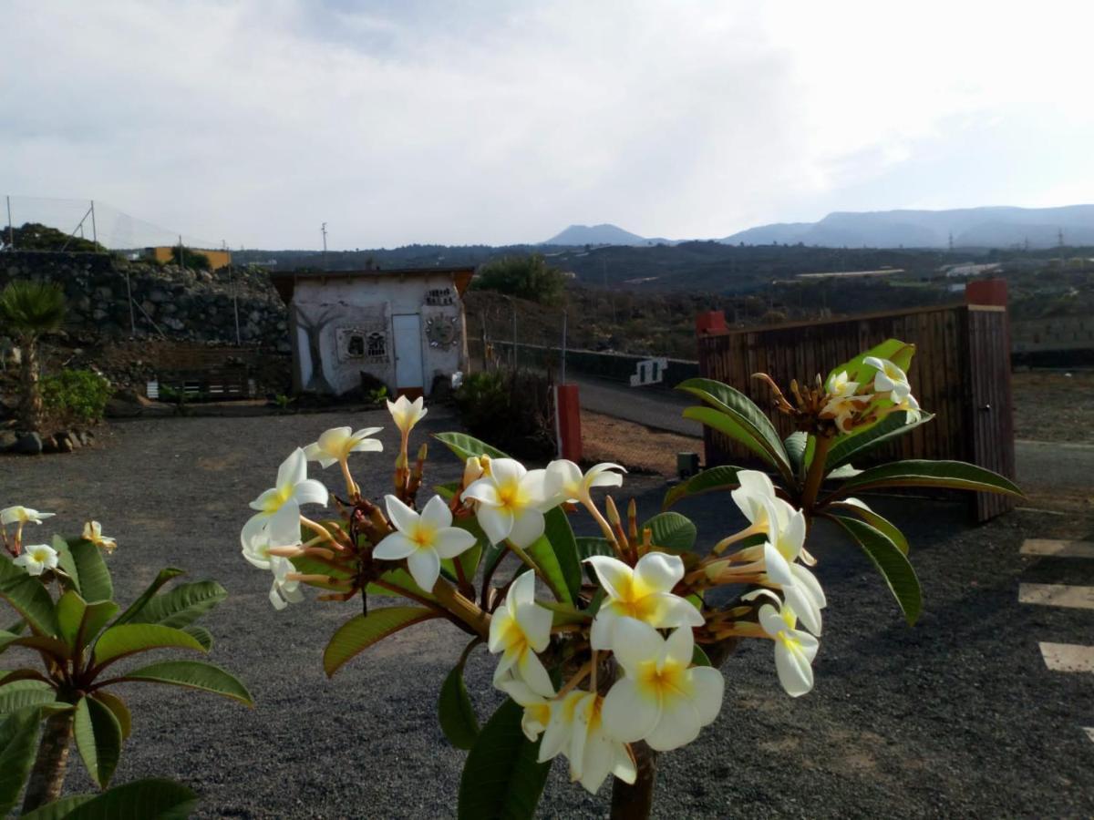 Finca rural Nueva Vida Hostal Chío Exterior foto